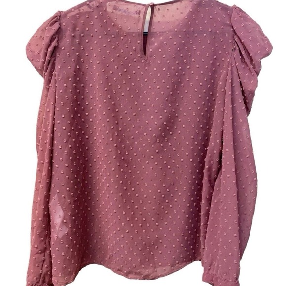 Zara Women's Dotted Puff Long Sleeve Top Sheer Size Medium Mauve - Picture 1 of 6